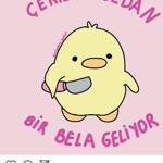 Ayşenur