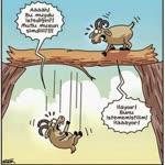 Alper