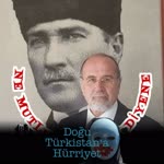 Satılmış