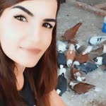 Leyla