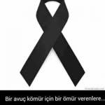 Elif