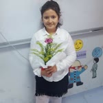 Pelin