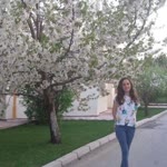 Sibel