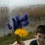 Elif