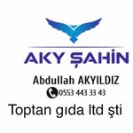 Abdullah
