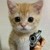 Enes