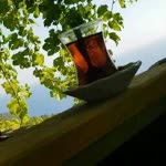Veysel