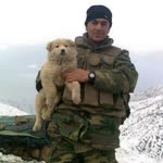 Yaser