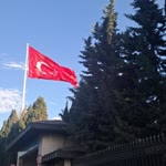 Ceylan