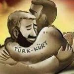 Vedat