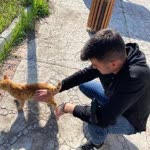 Halil