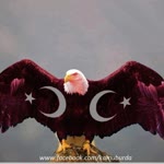 Fikret