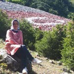 Aynur