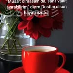Sevil