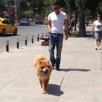 Ozan