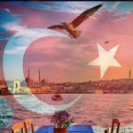 Arif
