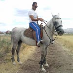 Zeynel