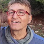 Müfit