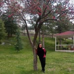 Gülşah
