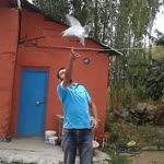 Ozan