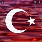 Mert