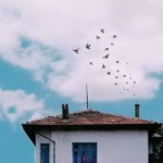 Büşra