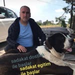 Barış