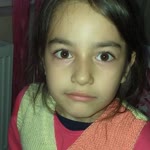Besisu