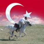 Harun