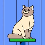 Furkan