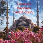 Halil