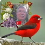 Yusuf