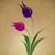 Hatice