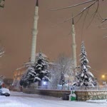 Nasreddin
