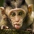 profile-icon