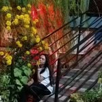 Buse