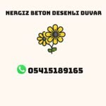 İdris