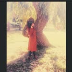 Bahar