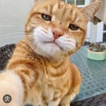 Sultan