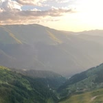 Neşe