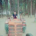 Doğan