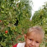 Ayşe