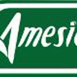Amesia
