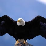 Hüseyin