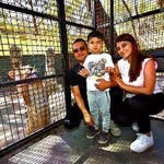 Dilek