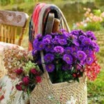 Aysegul