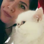 Aysel