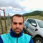 Veysi