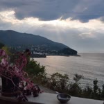 Aslı