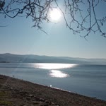 Halime